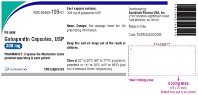 gabapentin-fig7.jpg PACKAGE LABEL-PRINCIPAL DISPLAY PANEL - 300 mg (100 Capsules Bottle) - gabapentin fig7