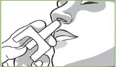 Figure (Valtoco 13)