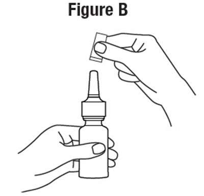 Figure-b.jpg (Figure B)