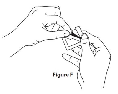 image description - figf slc 0054