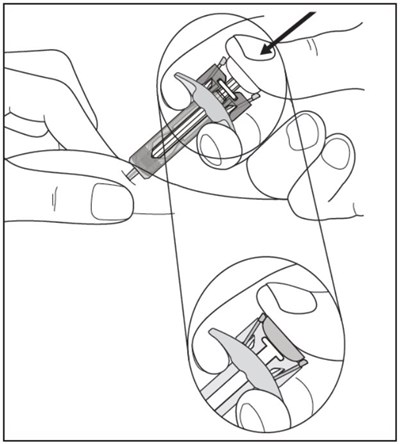 Figi (Image 41)