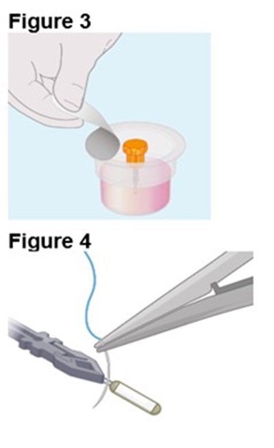 Figures 3 And 4 (Encelto Figure 2)