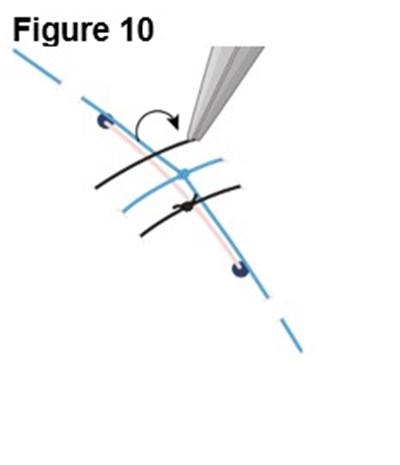 Figure 10 (Encelto Figure 5)