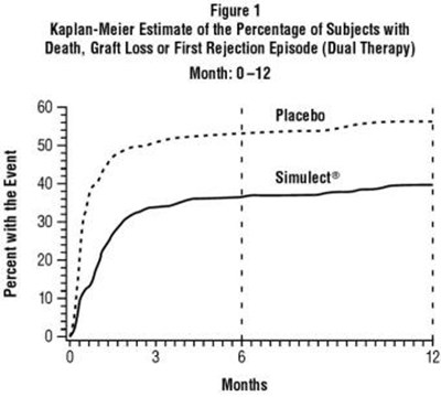 simulect-01.jpg simulect 01