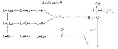 Bacitracin A (strucural Formula) (5cfad642 E7d0 4451 8bd4 29665208ac8d 01)