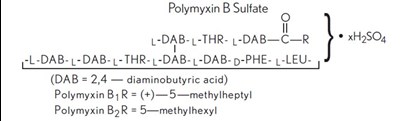 Polymyxin B Sulfate (structural Formula) (5cfad642 E7d0 4451 8bd4 29665208ac8d 02)