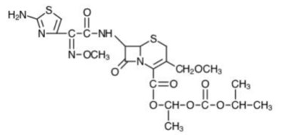Cefpodoxime-structure (Cefpodoxime Structure)