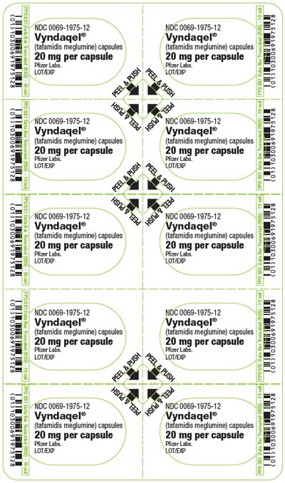 tafamidis-09.jpg PRINCIPAL DISPLAY PANEL - 20 mg Capsule Blister Card - tafamidis 09