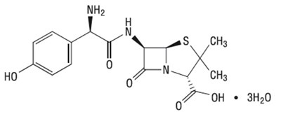 Image Description (Amoxicillin Oral Suspension Structure)