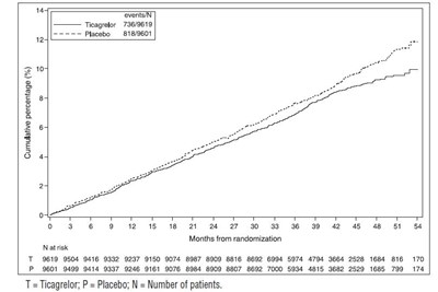 image-16.jpg new15 - image 16