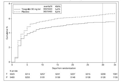 image-18.jpg new17 - image 18