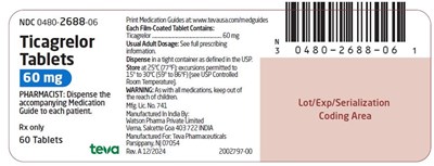 image-20.jpg new - image 20