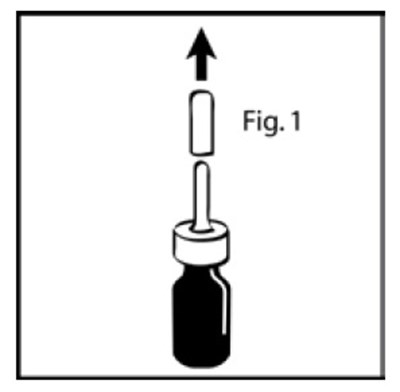 Figure1.jpg image description - Figure1