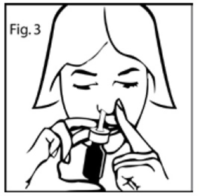 image description - Figure3