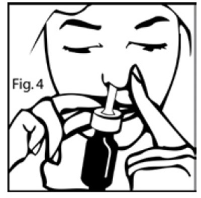 image description - Figure4