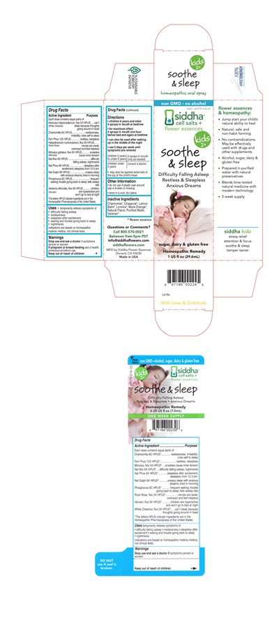 SootheAndSleepCarton.jpg Soothe and Sleep Carton - SootheAndSleepCarton