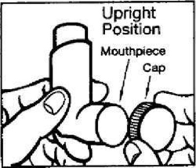 Figure 1 (Pro03 0006 03)