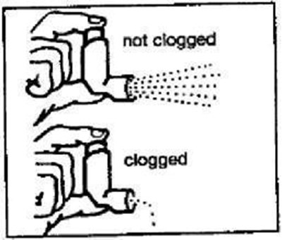 Figure C (Pro03 0006 08)