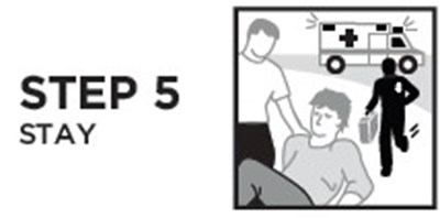 Step 5 (Image 05)