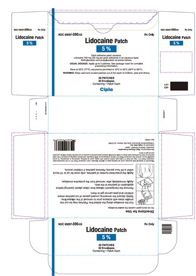 Carton (Lidocaine 01)