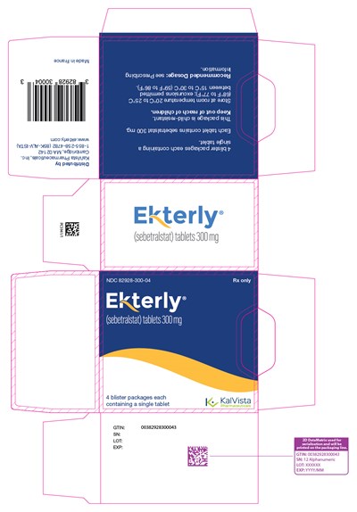 Image Description (06 Carton 4 Blisters)
