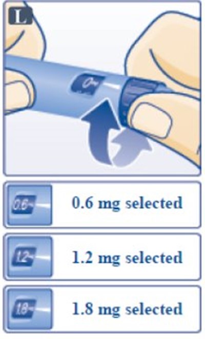 Fig. L (Image 11)