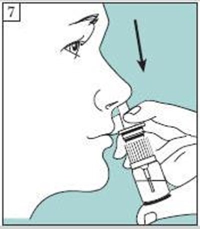 This Is Step 7 Graphics (Using Medication)