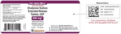 Divalproex Sodium Extended-release Tablets Usp, 250 mg (100T)