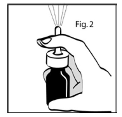 Figure2.jpg (Figure2)