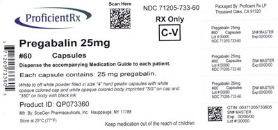 71205-733-60 - pregabalin 13