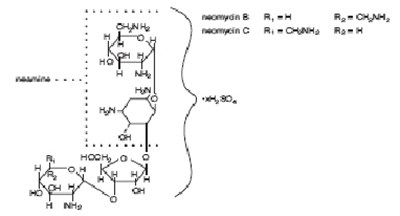 a5f50a91-45db-4de0-8cfb-dfd33da7475f-01.jpg Neomycin Sulfate (structural formula) - a5f50a91 45db 4de0 8cfb dfd33da7475f 01