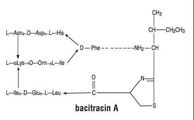 image description - module