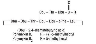 image description - module2