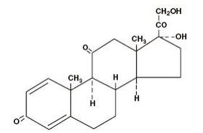 structural formula - prednisone tablets usp 01