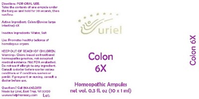 Colon6Ampules
