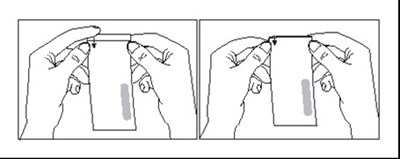 Figure1.jpg (Figure1)