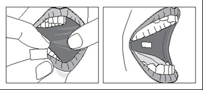 Figure4.jpg (Figure4)