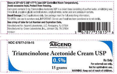 Triamcinolone Acetonide Cream 0.5% 15mg (Triam 05)