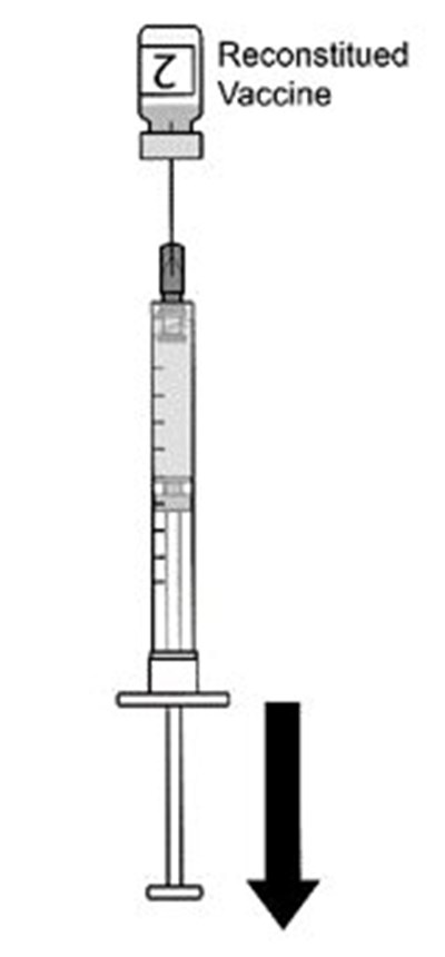 Figure 4 (Arexvy Spl Graphic 04)