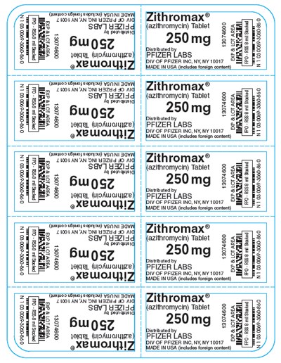 Principal Display Panel - 250 mg - 10 ct. Blister Pack - zithromax 05