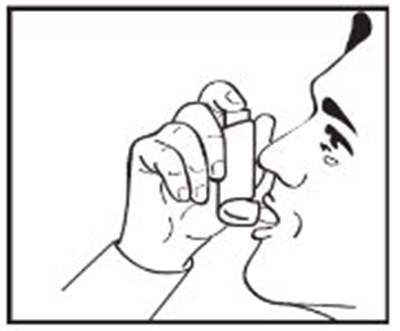 Fig-D - AlbuterolFigD