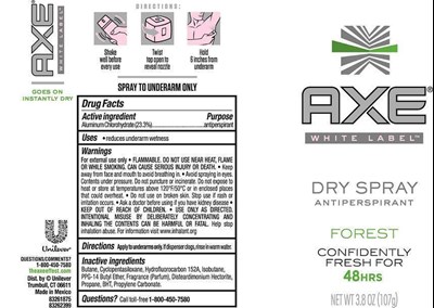 Axeforestdryspraypdp.jpg (Axeforestdryspraypdp)