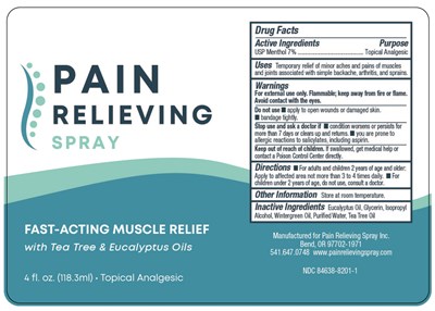 Principal Display Panel (Pain Rel Spray 2)