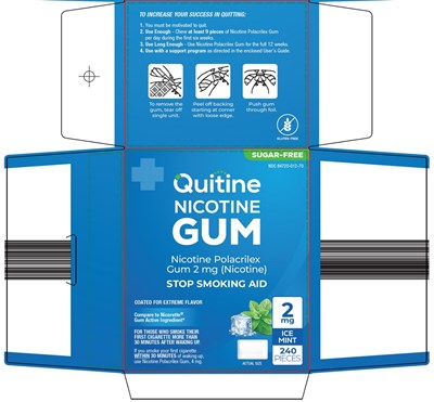 Quitine-nicotine-gum-mint-carton-image-1.jpg (Quitine Nicotine Gum Mint Carton Image 1)