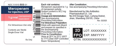 meropenem-1g-vail.jpg PRINCIPAL DISPLAY PANEL - 1 g Vial Label - meropenem 1g vail
