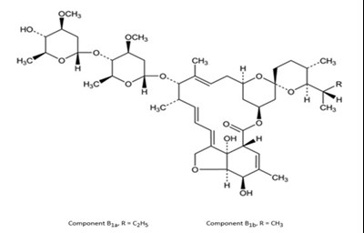 Structure (Ivermectin Structure)