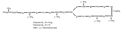 The Structural Formulae (Polymyxin B Sulfate And Trimethoprim Sulfate 02)