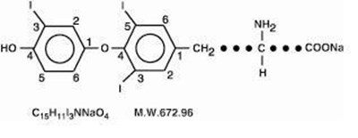 Image Description (Structure)