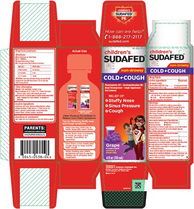 PRINCIPAL DISPLAY PANEL - sudafed 01