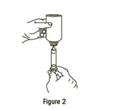 Fig2 (Mycophenolate Fig2)